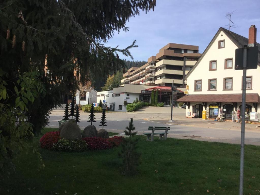 Apartment 365 Mit Sauna, Schwimmbad Und Fitness Schoenwald im Schwarzwald Exterior photo